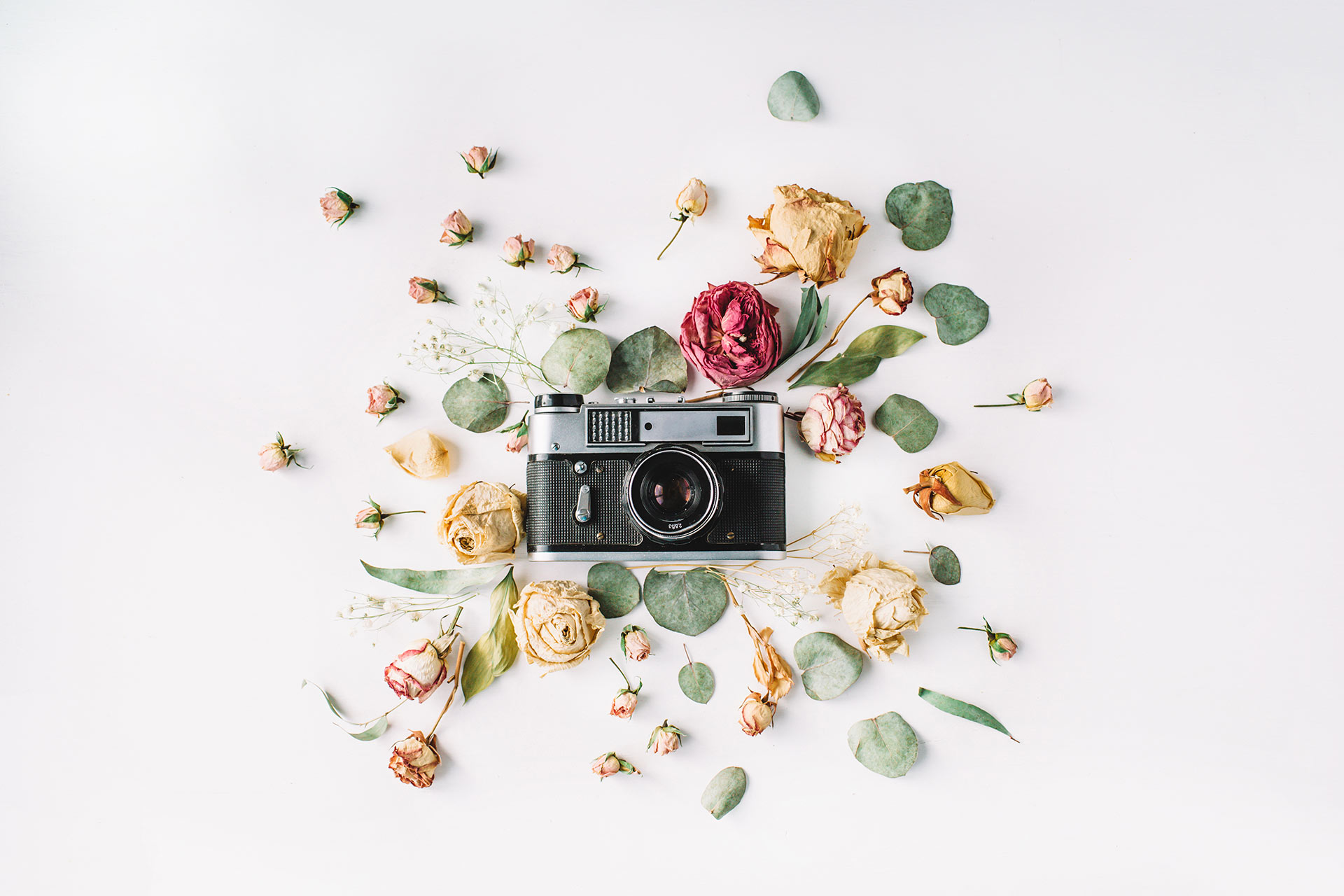 New app helps you with your photos